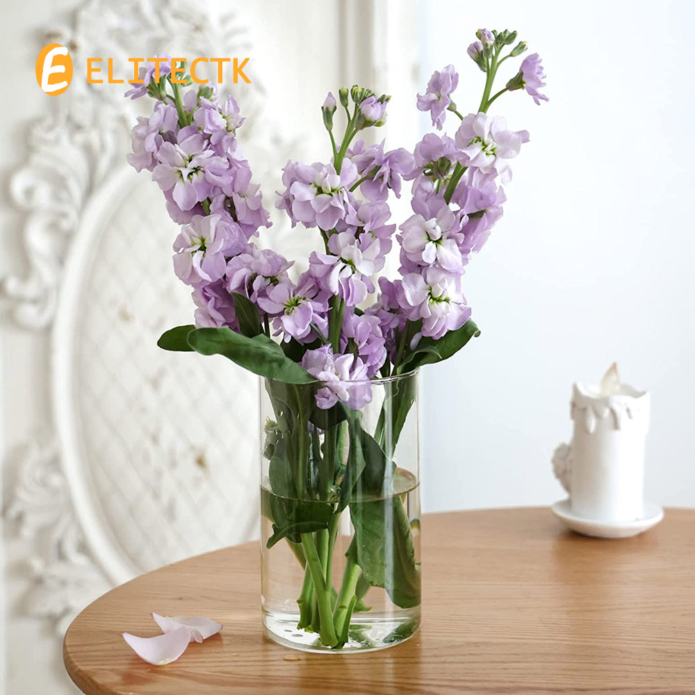 Glass Cylinder Vase Hurricane  - Centerpiece Vase Tall review and price