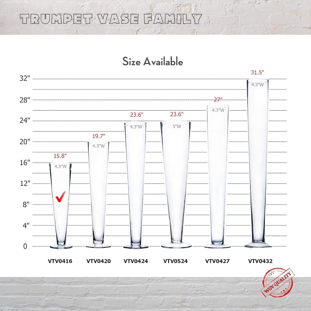 WGV Trumpet Glass Vase Bulk, O - Centerpiece Vase Tall review and price